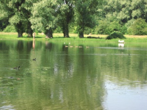 ������ �� ����� ��� ����� ������������� ����