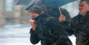 ��������� �������������� �����������