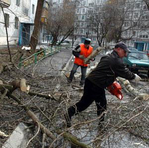 ����� ������� �����