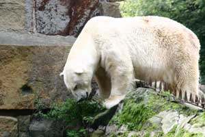 � �������� ������ ������ ���