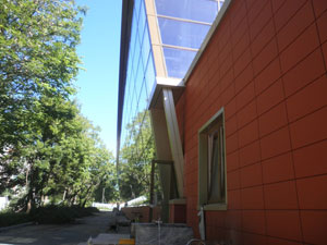 � ����������� �������� ���� ������ ������