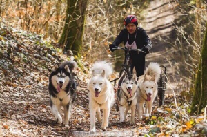 ����� �� �������� �������� ��������� ������