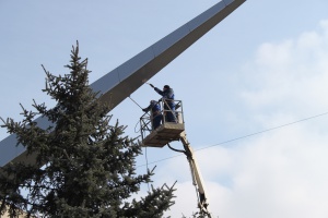 ������ ���� ������� ������