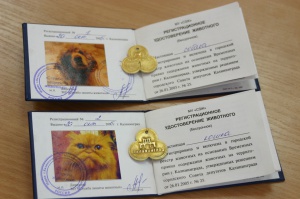 ������������� ������� ������ ��������� ��� ���������