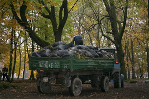 ������ ������� ������