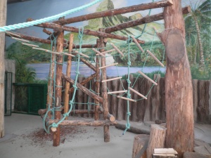 ������ ��� � �������� ������ � ������������ � ��������