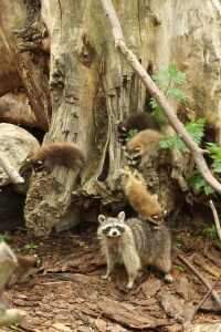 �������� ��� � ��� ��������� �������