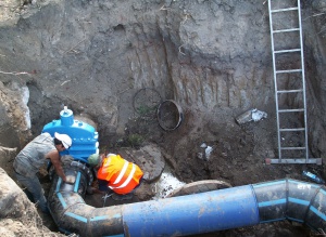 ���� ����� ������ ����������