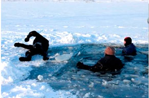 ��������! �������� ����� � �������� ����