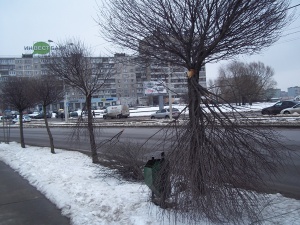 �������� �������!