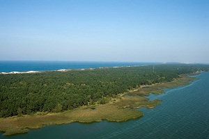 ����� � �������� ���� �� ������ ������!