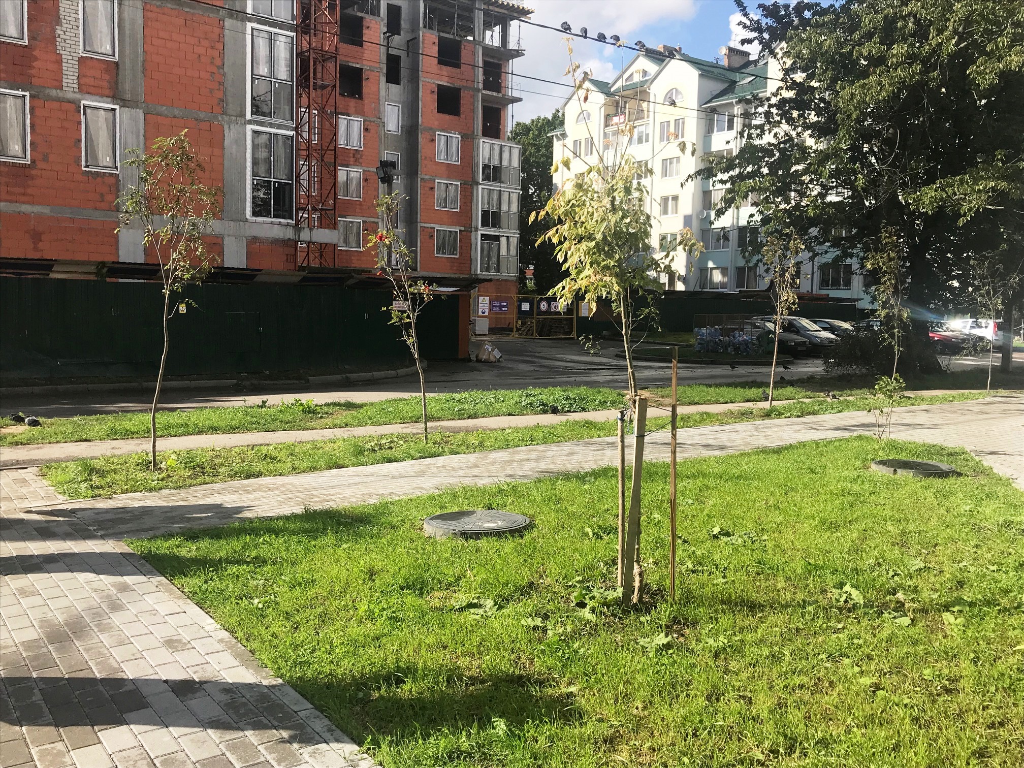 Администрация ГО "Город Калининград". В центре внимания – компенсационное озеленение