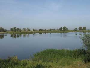 ������������� ��������� ��������� � �������� ���������� ������