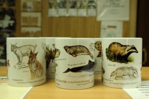 ����� ������, ��� ��������!