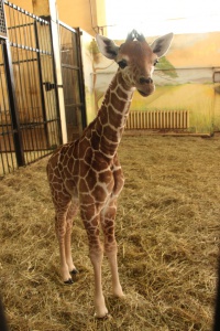 ��������� ����� �� �����