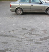 ������������ �������� ���� �� ������ 