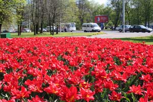 ������ �� ����� �����������