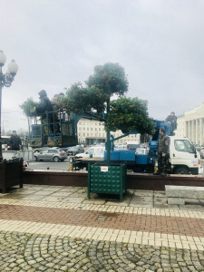 ������������ ��������� �������� �  ���������