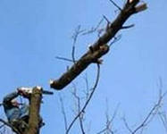 ������������ ����� ������� �� ���� ��� ��� ��������