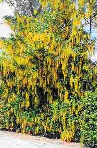 �������� ������ �� ����� ��������