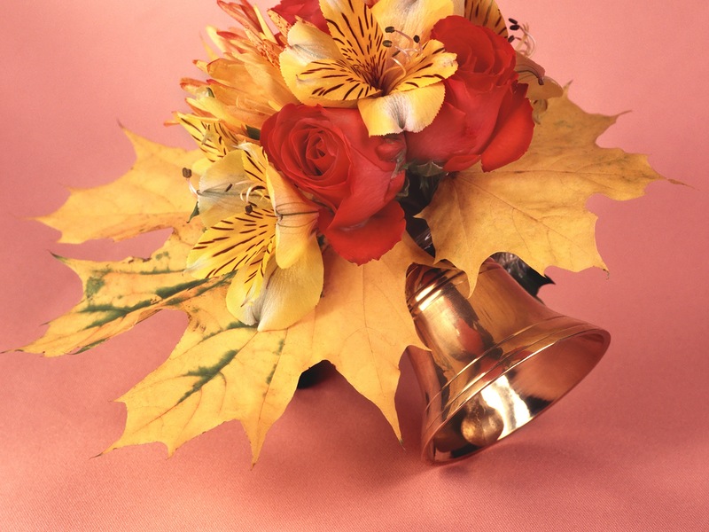 ��������� �������, ��������, �������, �������� ��������������� �����!