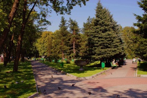 � ����� ������������ �������