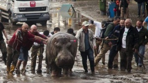 ��������������� ������� �������� �������� �� �������