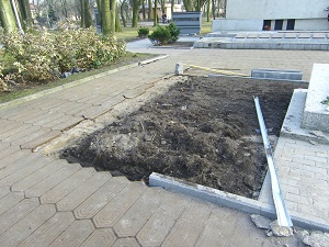 ����������� ������� ���������� �������� �������� �� ����� �������� � ������������