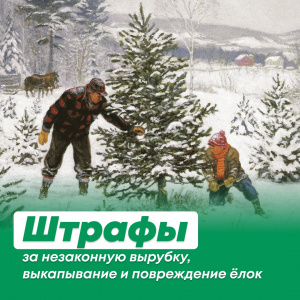 � ��������������� ������� � ���������� ���������� ���������� ����������� ������ ������� ����������