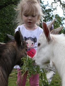 � ����� ��� ������ �����