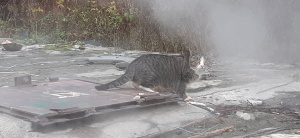 ����� �� ����� ������� ����