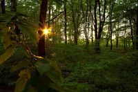 � ������ �������� ���������, ������������ ��������� ��������� �����