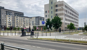 ���� ������������ �������