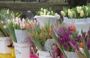 ����� ��� ����