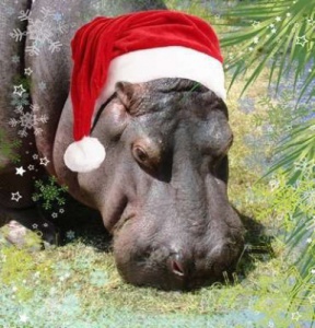 ��������� ��� ������