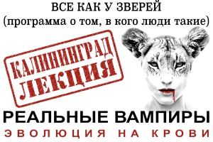 �������: �������� �������