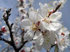 ��� �������� �����