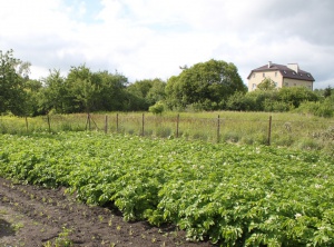 ����������� ��������������� ���������� ������