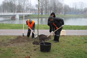 �� ������� ����� �������� �������