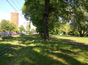 ������������� ������ ������������ ����� ������ ��������