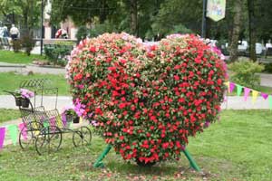 ��������� ������� ���!�