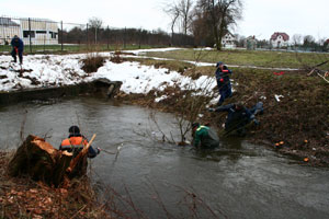 ������ ���������