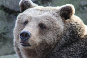 ������� ������ � � ���������-�������