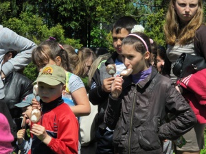 ��������������� ������� ���������� �������� ���� ���������� 