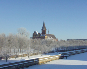 ������������ ����� ����������