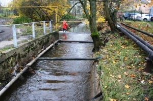 � ������ �������� � �����, ����� � ������