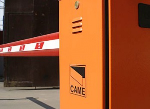 �������� ����� ���������� ������ ���� ������������ �� 17 ������