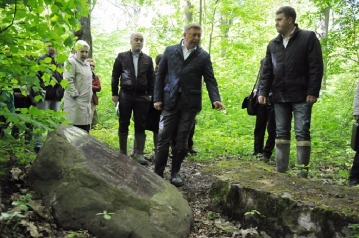 15  2015           -             