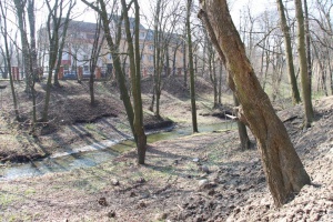 ��� ������� � �������� �� ���������� ��������� �����?