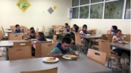 «Горячая линия» по бесплатному питанию в школах Калининграда